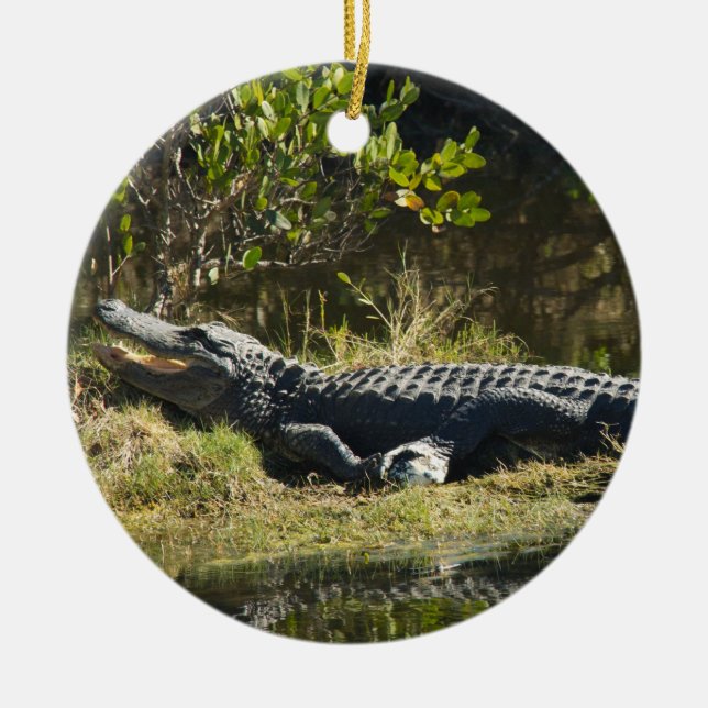 Alligator Sunning on Swamp Bank Ceramic Tree Decoration (Front)
