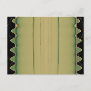 Alligator Tail Postcard