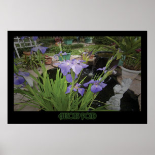 "Allison's Pond" - Print