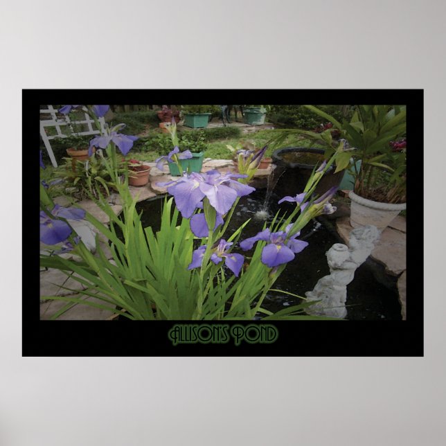 "Allison's Pond" - Print (Front)