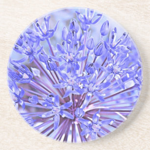 Allium Flower Blue Coaster