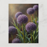 Allium flowers