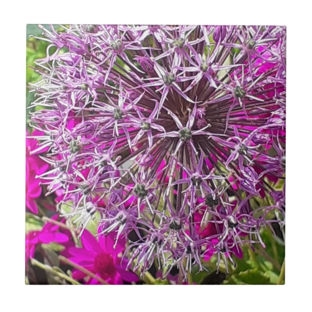 Allium & Summer Flowers Ceramic Tile (Front)