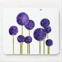 Alliums