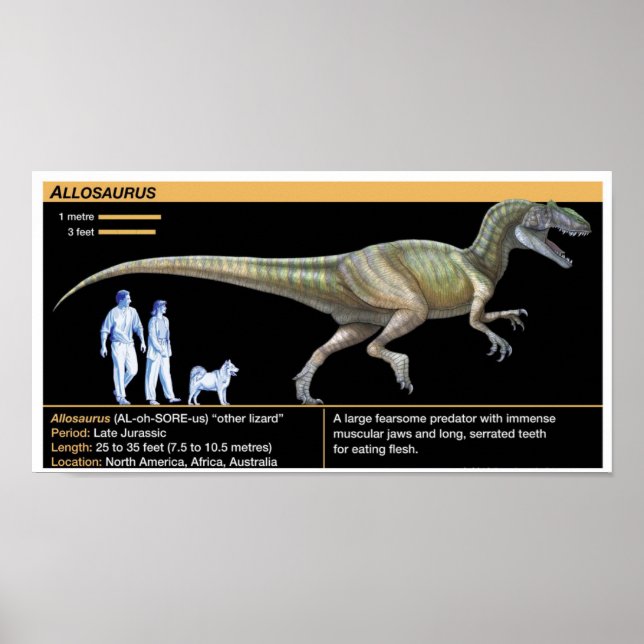 Allosaurus - Biology Jurassic Poster (Front)
