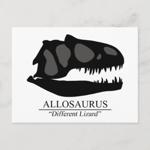 Allosaurus Skull Postcard