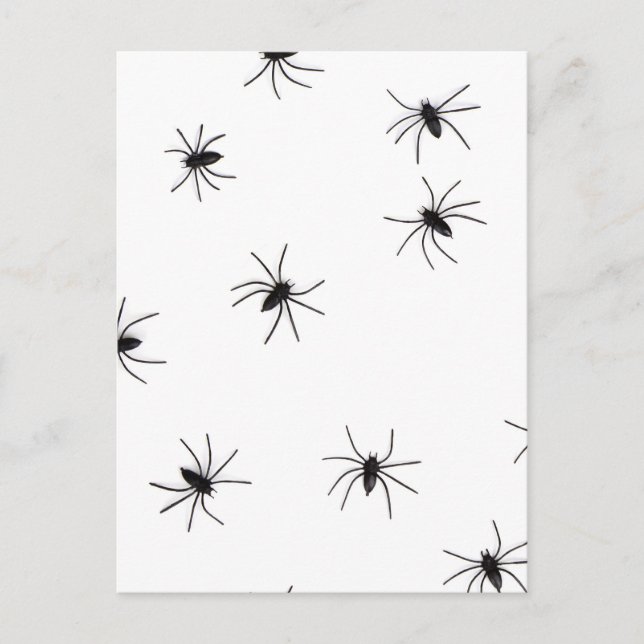 Allover Spiders Halloween Postcard (Front)
