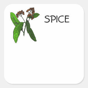 Allspice Design for Spice or Herb ID Information Square Sticker