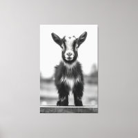 Alluring Monochromatic Graceful Baby Goat Portrait