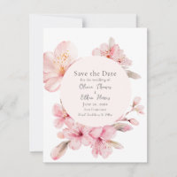 Alluring Pink Cherry Blossom Flowers