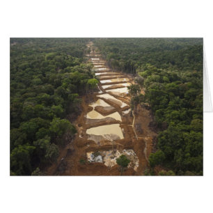 Alluvial Gold Mining. Rainforest, Guyana.