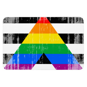 ALLY FLAG DISTRESSED -.png Magnet