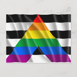 ALLY FLAG FLYING -.png Postcard