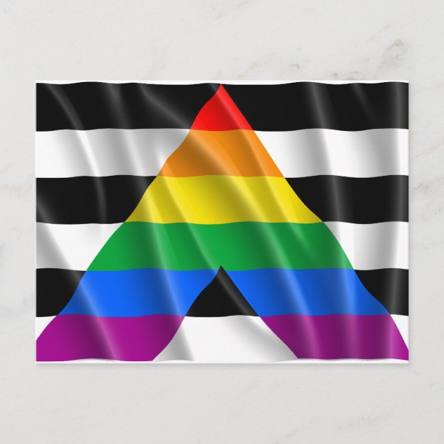 ALLY FLAG FLYING -.png Postcard (Front)