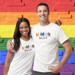 ALLY Mixed Gender Pride LGBTQIA+BIPOC T-Shirt
