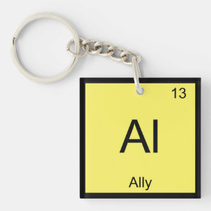 Ally Name Chemistry Element Periodic Table Key Ring