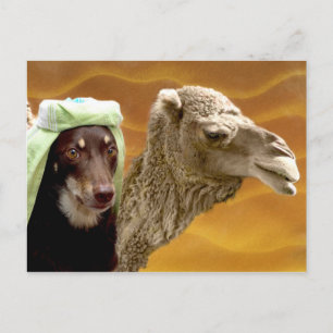 Ally of Arabia Postcard