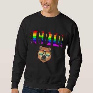 Ally Pride LGBTQ Equality Rainbow Lesbian Gay Tran Sweatshirt