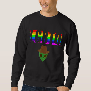 Ally Pride LGBTQ Equality Rainbow Lesbian Gay Tran Sweatshirt