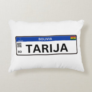 Almohada Came to Stay Decorative Cushion