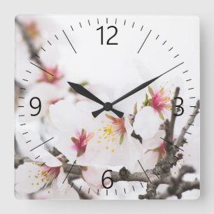 Almond blooming square wall clock