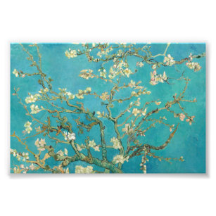 Almond Blossom by Vincent van Gogh Photo Print
