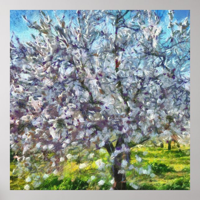 Almond Blossom Poster (Front)