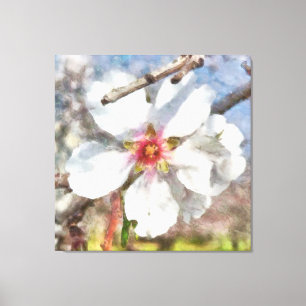 Almond Blossom Study Watercolor Painting Canvas Print