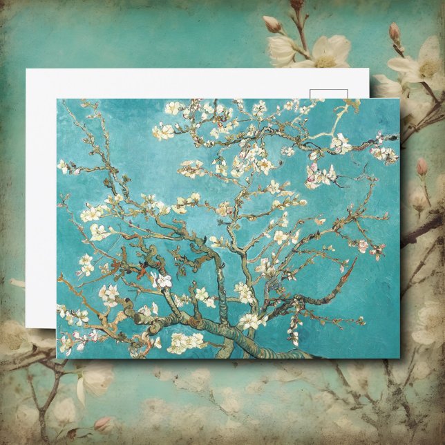 Almond blossom, Van Gogh  Postcard (Creator Uploaded)