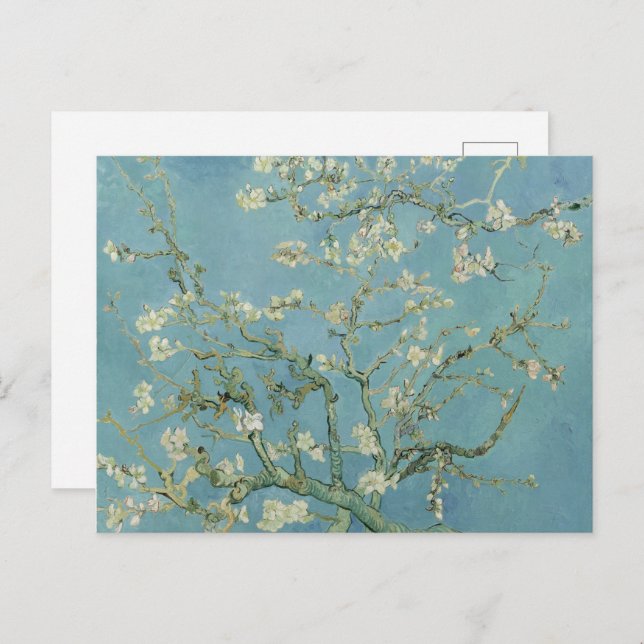 Almond Blossom: Vincent Van Gogh  Postcard (Front/Back)