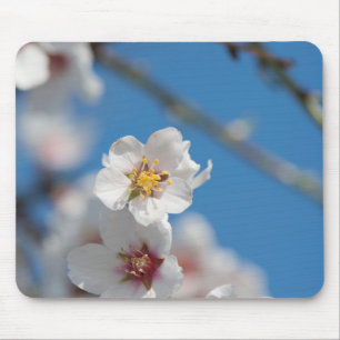 Almond blossoming mouse pad
