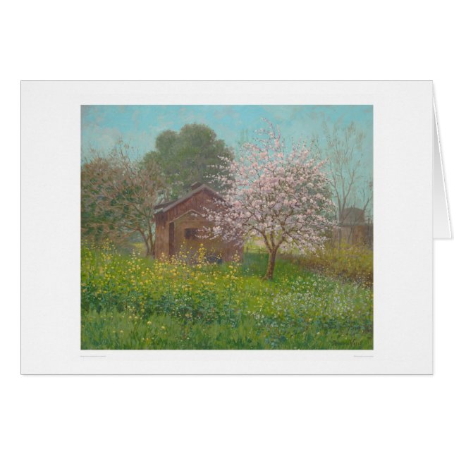 Almond Blossoms and Wild Mustard (1152) (Front Horizontal)