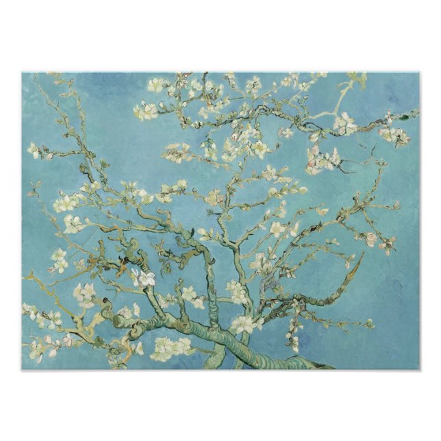 Almond Blossoms by Vincent Van Gogh Fine Art Photo Print (Front)