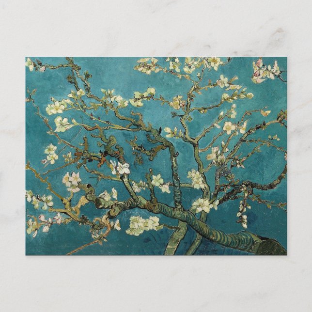 Almond Branches in Bloom Postcard (Front)