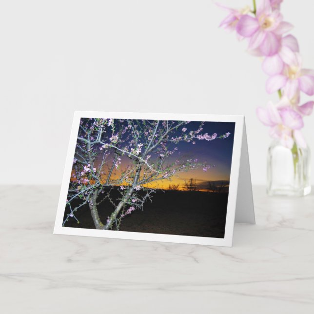 Almond Tree at Night Portrait Card (Orchid)