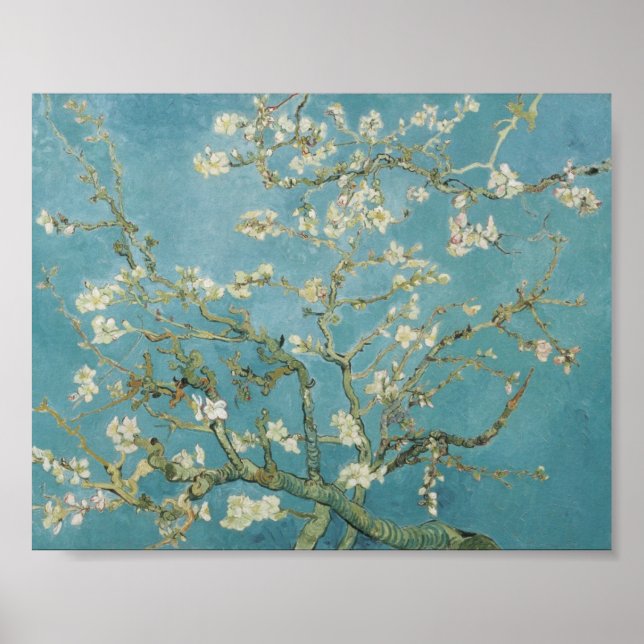 Almond tree by van gogh poster (Front)