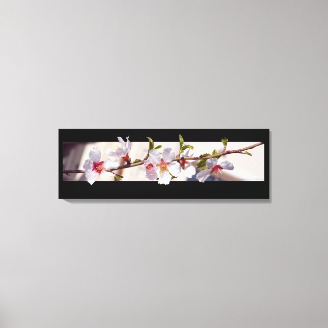 almond tree flower blossom wrapped canvas (Front)