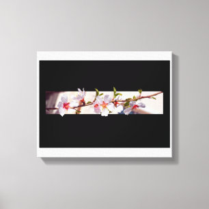 almond tree flowers blossom wrapped canvas