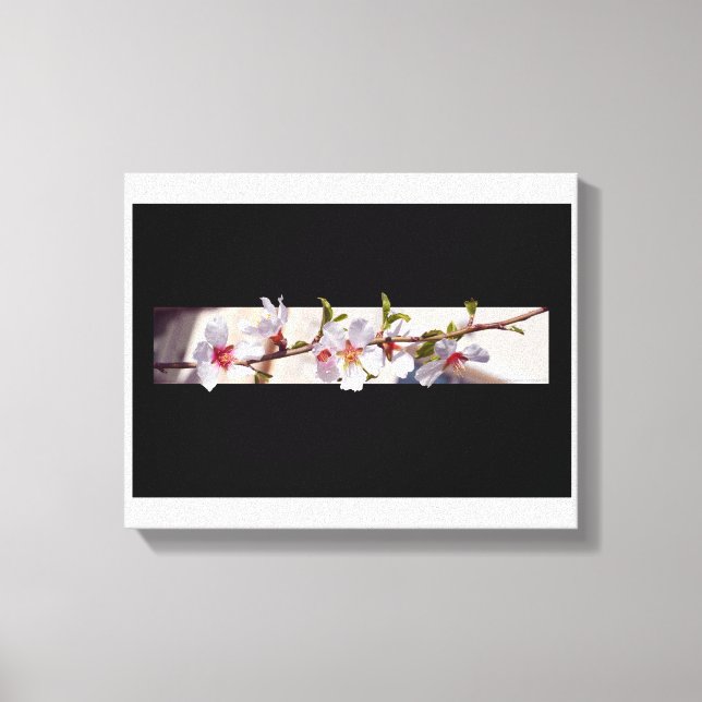 almond tree flowers blossom wrapped canvas (Front)