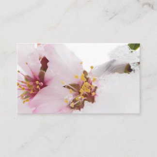 Almond tree flowers covered by snow business card