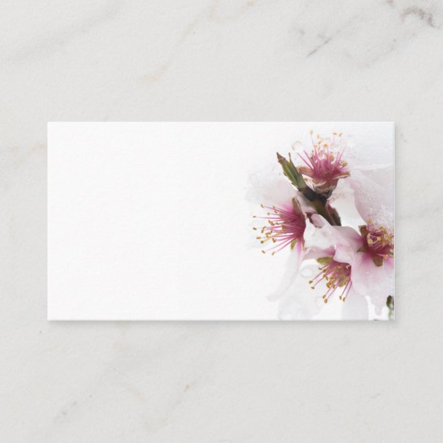 Almond tree flowers covered by snow business card (Front)