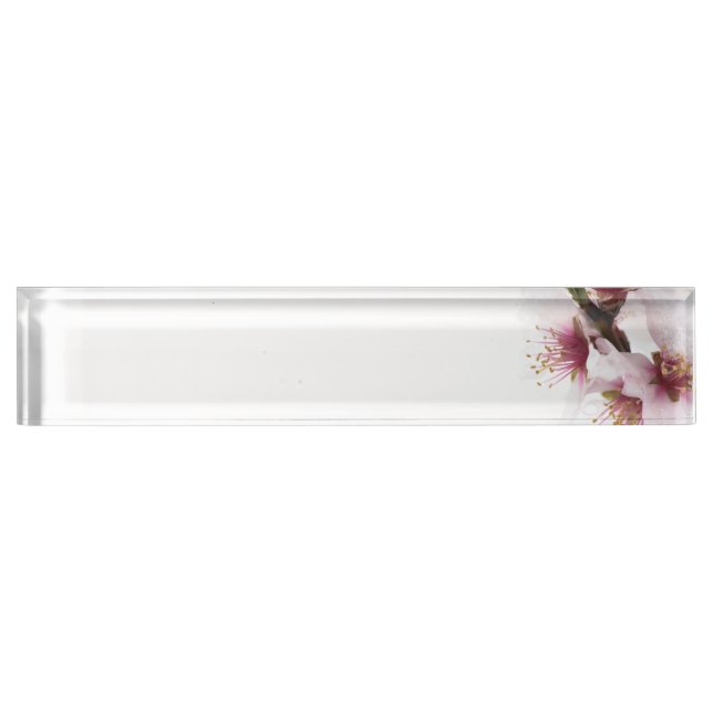 Almond tree flowers covered by snow nameplate (Front)