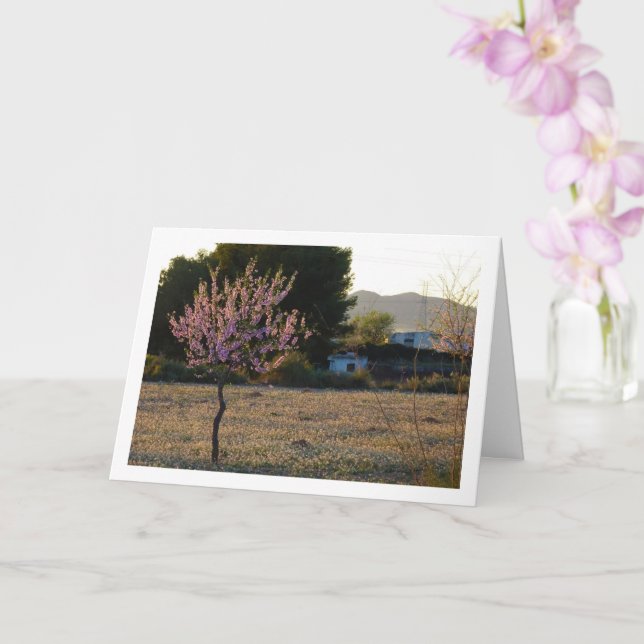 Almond Tree in Orchard Card (Orchid)