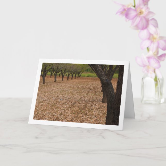 Almond Tree Orchard Card (Orchid)