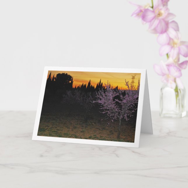 Almond Trees at Night Portrait Card (Orchid)
