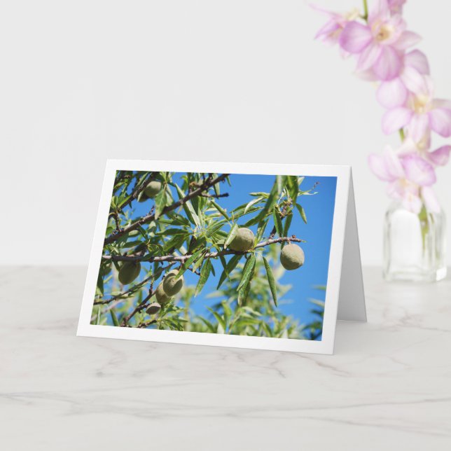 Almonds on Tree Branch Card (Orchid)
