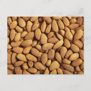 Almonds Postcard