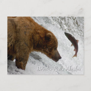 Almost, Brooks Falls Alaska Postcard