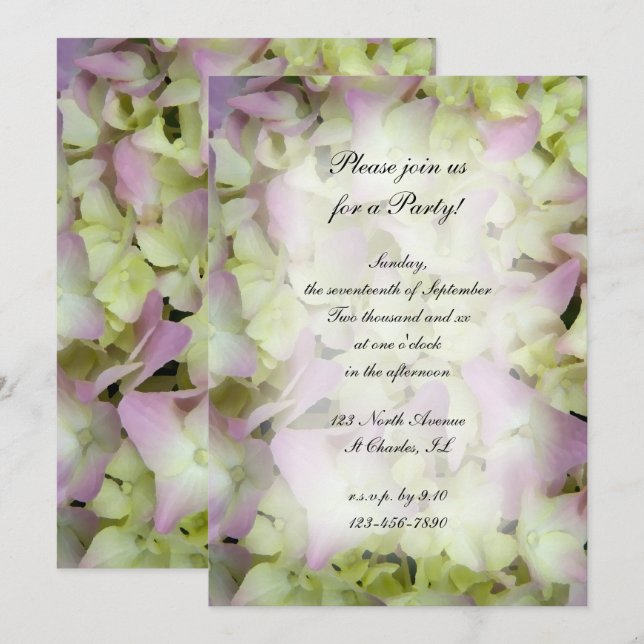 Almost Pink Hydrangea Flowers All Ocassion Party Invitation (Front/Back)