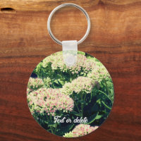 Almost Sedum Flower Personalised